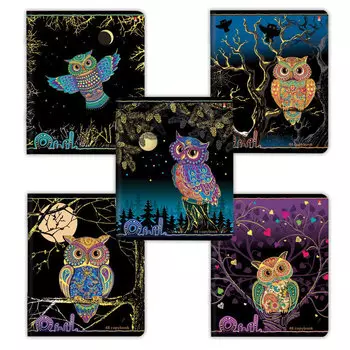 Тетрадь А5, 48 л., АЛЬТ, скоба, клетка, фольга, конгрев, гибридный лак, СКАЗОЧНЫЕ СОВЫ (5 видов), 7-48-204, (10 шт.)