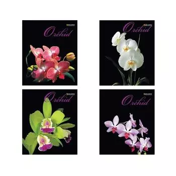 Тетрадь А5, 48 л., BRAUBERG ЭКО, клетка, обложка картон, ОРХИДЕИ, 401287, (30 шт.)