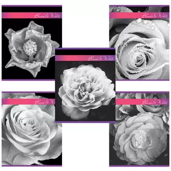 Тетрадь А5, 48 л., BRAUBERG, клетка, металлизированный картон, ЧЕРНО-БЕЛОЕ, 403043, (20 шт.)