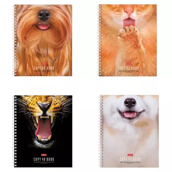 Тетрадь А5, 48 л., HATBER, гребень, клетка, обложка картон, Разбуди в себе Зверя! (4 вида), 48Т5В1гр, (20 шт.)