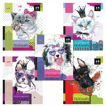 Тетрадь А5, 48 л., HATBER, скоба, клетка, блестки, МОДНЫЕ МОРДОЧКИ (5 видов в спайке), 48Т5блВ1, T280737, (20 шт.)