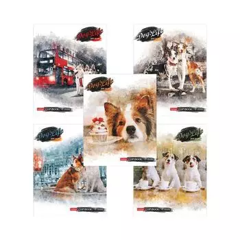 Тетрадь А5 48 л. HATBER скоба, клетка, матовая ламинация, "Всё как у людей" (5 видов в спайке), 48Т5лВ1 (30 шт.)