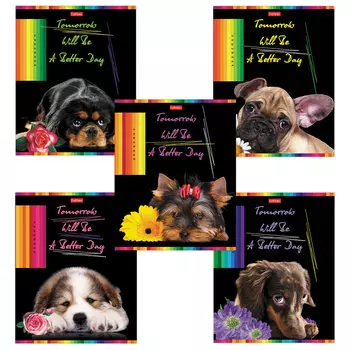 Тетрадь А5, 48 л., HATBER, скоба, клетка, обложка картон, Better day (5 видов в спайке), 48Т5В1, (20 шт.)