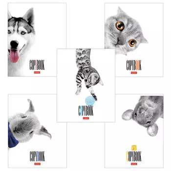 Тетрадь, А5, 48 л., HATBER, скоба, клетка, выборочный лак, Кто здесь? (5 видов в спайке), 48Т5вмВ1, (20 шт.)