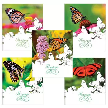 Тетрадь А5, 48 л., ПИФАГОР, клетка, офсет №2, обложка картон, БАБОЧКИ, 403013, (50 шт.)