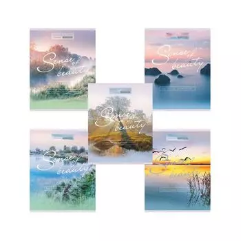 Тетрадь А5, 96 л., HATBER VK, скоба, клетка, обложка картон, SENSE OF BEAUTY (5 видов), 96Т5C1, T269374, (14 шт.)