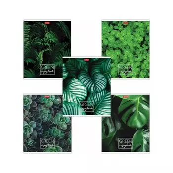 Тетрадь А5 96л. HATBER скоба, клетка, обложка картон, "MOREgreen" (5 видов), 96Т5В1 (60 шт.)