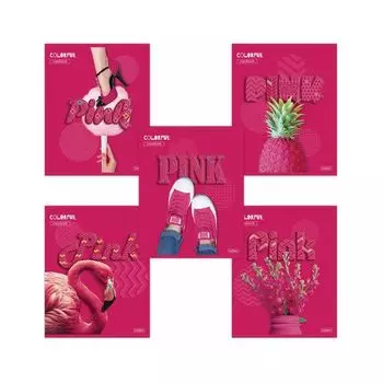 Тетрадь А5 48 л. HATBER скоба, клетка, выборочный лак, "PINK" (5 видов в спайке), 48Т5вмВ1 (100 шт.)