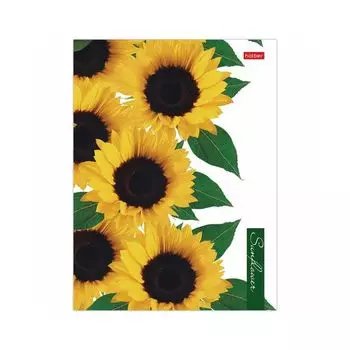 Тетрадь на кольцах А5 (170х220 мм), 160 л., картонная обложка, клетка, HATBER, 2SUNFLOWERS", 160ТК5В1, 160ТК5В1_23016 (10 шт.)