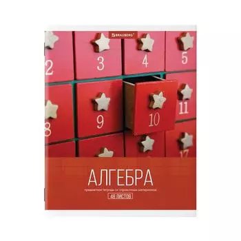 Тетрадь предметная КЛАССИКА XXI 48 л., обложка картон, АЛГЕБРА, клетка, подсказ, BRAUBERG, 403940 (20 шт.)