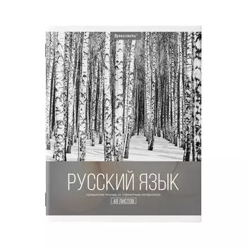 Тетрадь предметная КЛАССИКА XXI 48 л., обложка картон, РУССКИЙ ЯЗЫК, линия, подсказ, BRAUBERG, 403949 (20 шт.)