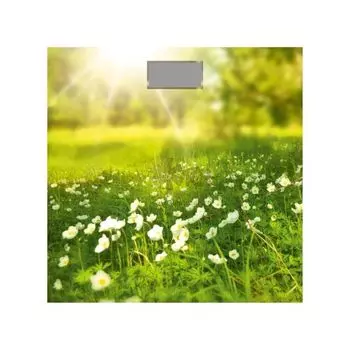 Весы напольные электронные Добрыня DO-3006G