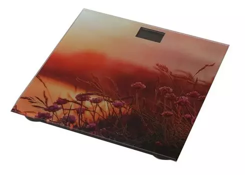 Весы напольные электронные Добрыня DO-3006I