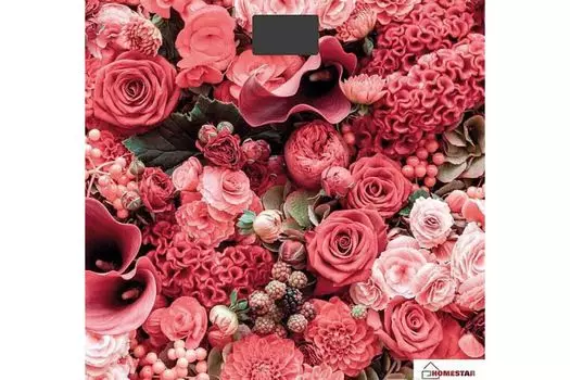 Весы напольные электронные HomeStar HS-6001L