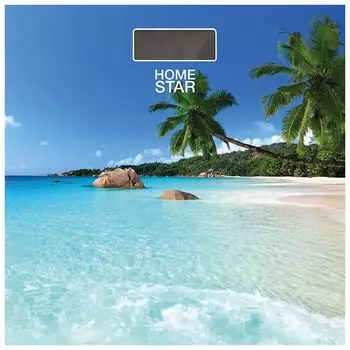 Весы напольные электронные HOMESTAR HS-6001P