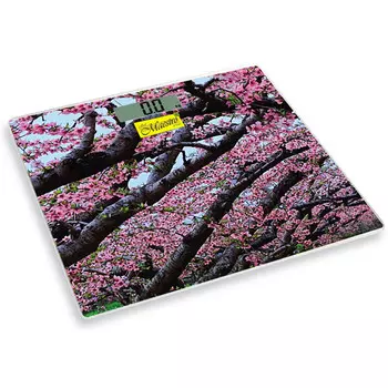 Весы напольные электронные Maestro MR-1823