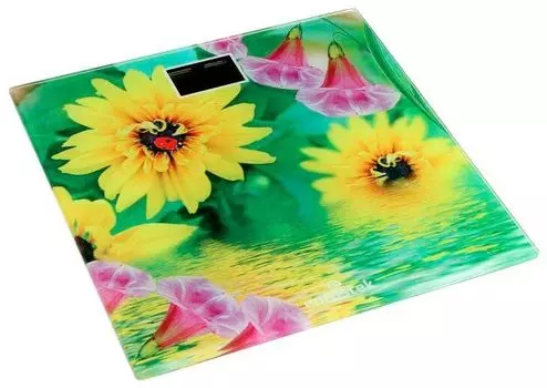 Весы напольные Eurostek EBS-2607