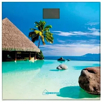 Весы напольные Homestar HS-6001H