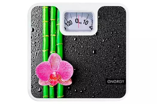 Весы напольные механические Energy ENM-409D