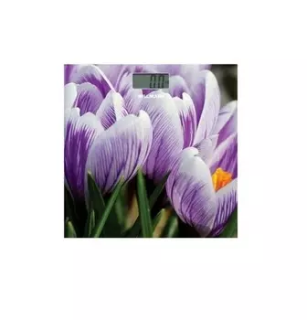 Весы напольные Willmark WBS-1811D Крокусы