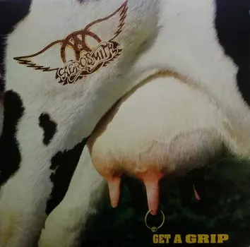 Виниловая пластинка Aerosmith, Get A Grip (0602547954398)