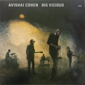 Виниловая пластинка Avishai Cohen, Big Vicious (0602508606304)