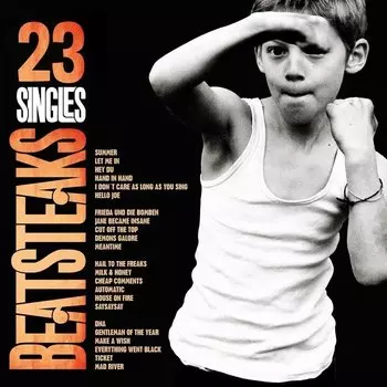 Виниловая пластинка Beatsteaks, 23 Singles (Remastered) (5054196762711)