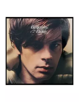 Виниловая пластинка Biolay, Benjamin, Negatif (0190295006761)