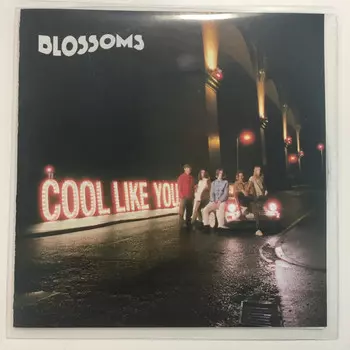 Виниловая пластинка Blossoms, Cool Like You (0602567298953)