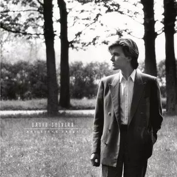 Виниловая пластинка David Sylvian, Brilliant Trees (0602567953326)