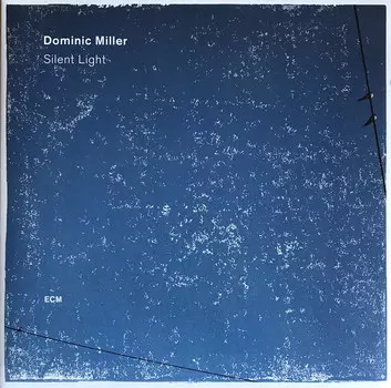 Виниловая пластинка Dominic Miller, Silent Light (0602557399752)