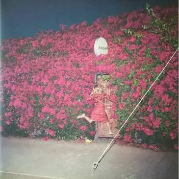 Виниловая пластинка Feist, Pleasure (0602557382389)