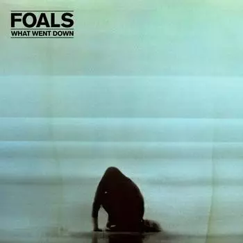 Виниловая пластинка Foals, What Went Down (0825646075034)