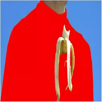 Виниловая пластинка Gendel, Sam, Drm (0075597917178)