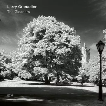 Виниловая пластинка Larry Grenadier, The Gleaners (0602577064227)