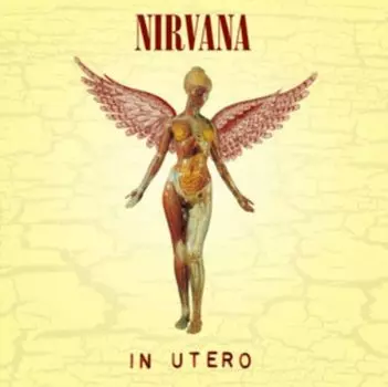 Виниловая пластинка Nirvana, In Utero (0720642453612)