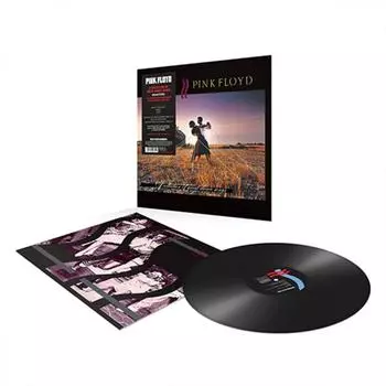 Виниловая пластинка Pink Floyd, A Collection Of Great Dance Songs (Remastered) (0190295996901)