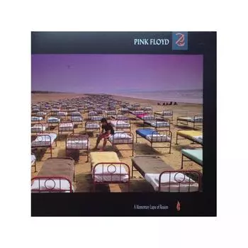 Виниловая пластинка Pink Floyd, A Momentary Lapse Of Reason (Remastered) (0190295996949)