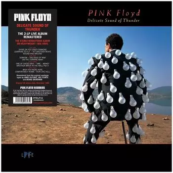 Виниловая пластинка Pink Floyd, Delicate Sound Of Thunder (Remastered) (0190295996932) Витринный образец