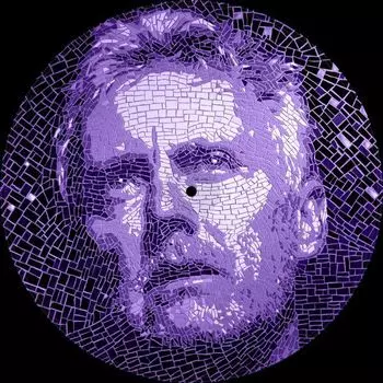 Виниловая пластинка Roger Taylor, Fun On Earth (picture) (0602537755196)