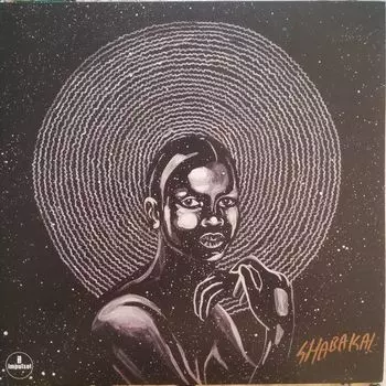 Виниловая пластинка Shabaka And The Ancestors, We Are Sent Here By History (0602508645631)