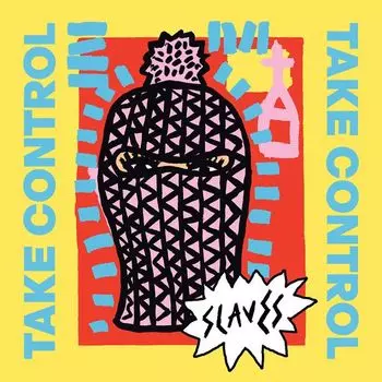 Виниловая пластинка Slaves, Take Control (0602557106572)