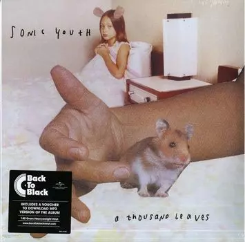 Виниловая пластинка Sonic Youth, A Thousand Leaves (0602547431042)