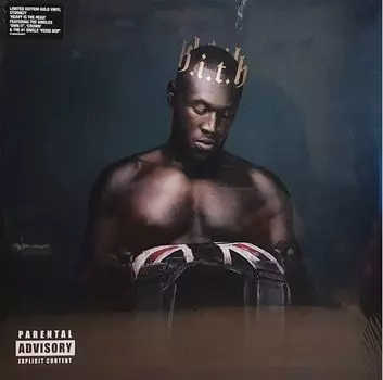 Виниловая пластинка Stormzy, Heavy Is The Head (0190295403027)