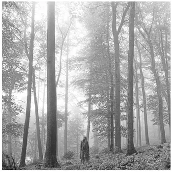 Виниловая Пластинка Taylor Swift Folklore (0602435034881)