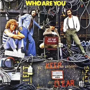 Виниловая пластинка The Who, Who Are You (0602537156306)