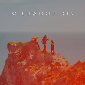 Виниловая пластинка Wildwood Kin, Wildwood Kin (0190759590119)