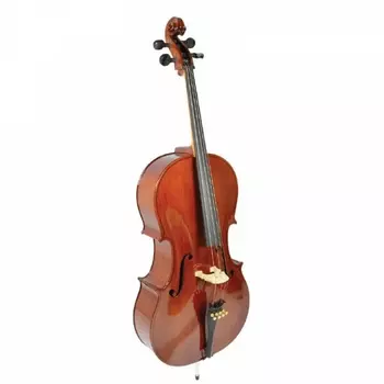 Виолончель Strunal 4/4C-4/4 концертная