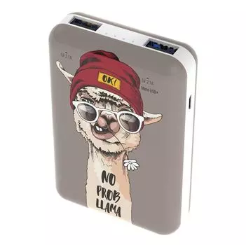 Внешний аккумулятор RITMIX RPB-10007 Lama