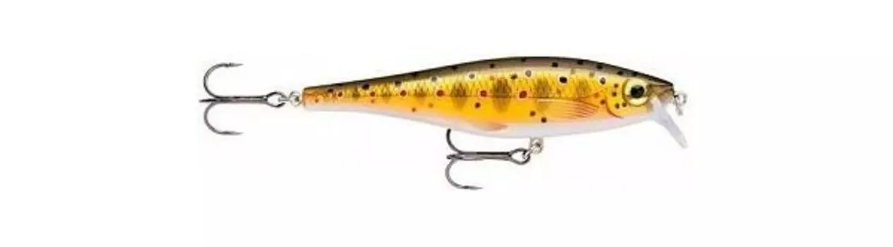 Воблер Rapala BX Minnow плавающий 0,9м-1,5м, 10см 12гр (BXM10-TR)